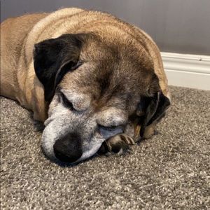 Meet your Posher, Ethan